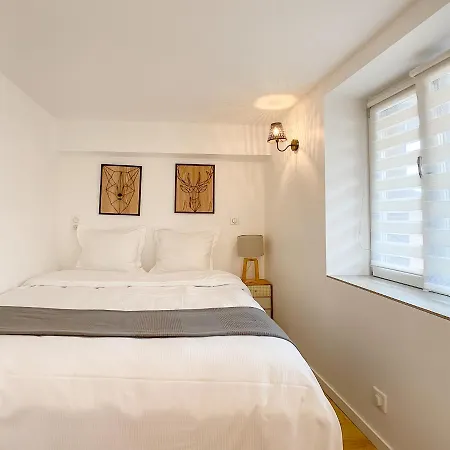 The Downtown Cosy Lägenhet