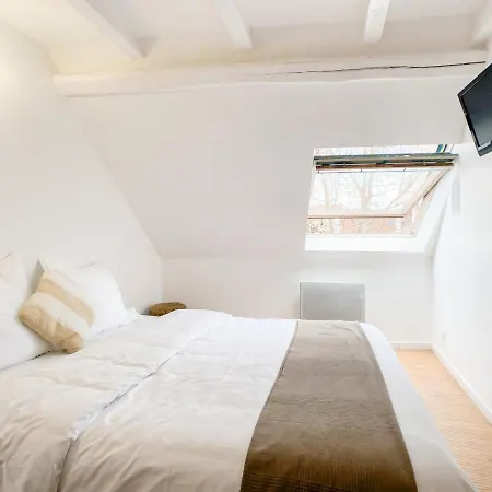 The Downtown Cosy Apartment