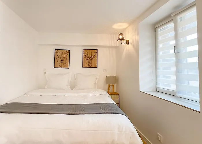 The Downtown Cosy Appartement